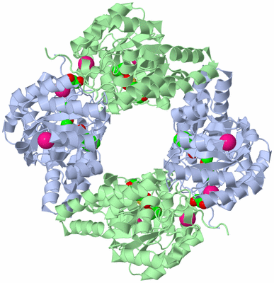 Image Biological Unit 1