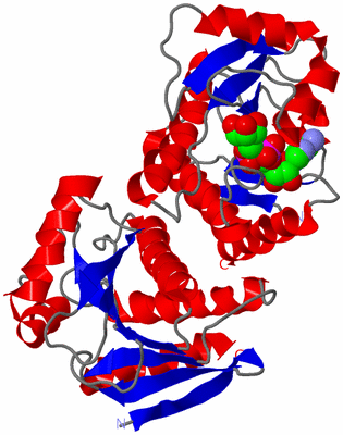 Image Asym./Biol. Unit