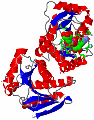 Image Asym./Biol. Unit - sites