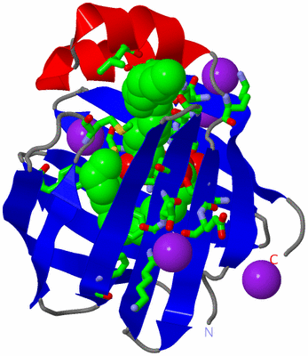 Image Asym./Biol. Unit - sites