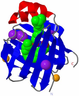 Image Asym./Biol. Unit