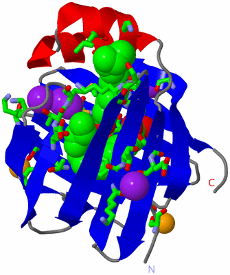 Image Asym./Biol. Unit - sites