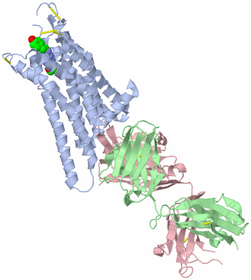 Image Asym./Biol. Unit