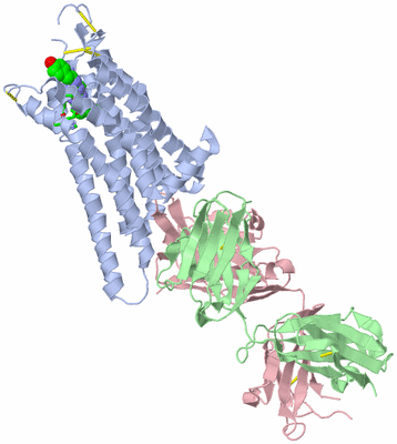 Image Asym./Biol. Unit - sites