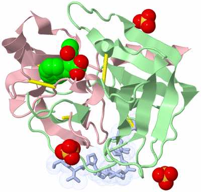 Image Biological Unit 1