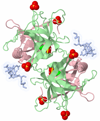 Image Biological Unit 3