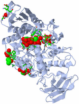 Image Biol. Unit 1 - sites