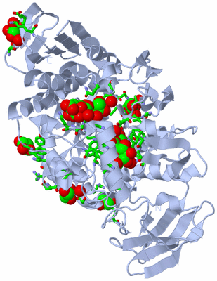 Image Biol. Unit 1 - sites