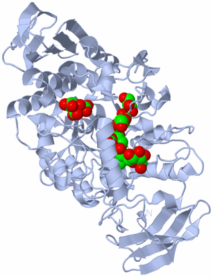 Image Biological Unit 1