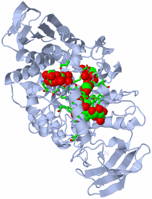 Image Biol. Unit 1 - sites