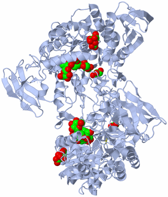 Image Biological Unit 2