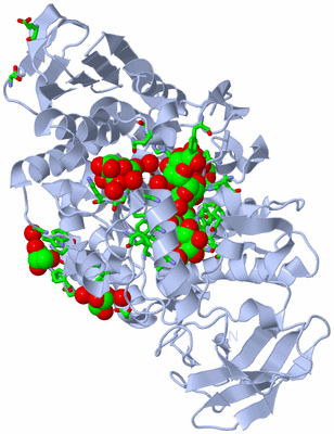 Image Biol. Unit 1 - sites