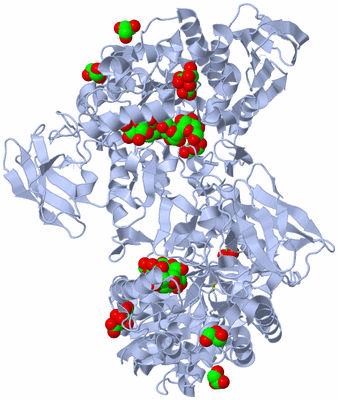 Image Biological Unit 2