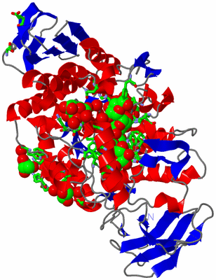 Image Asym. Unit - sites