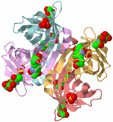 Image Biological Unit 2