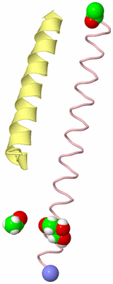 Image Asymmetric Unit