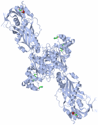 Image Biol. Unit 1 - sites