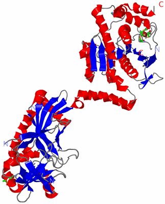 Image Asym. Unit - sites