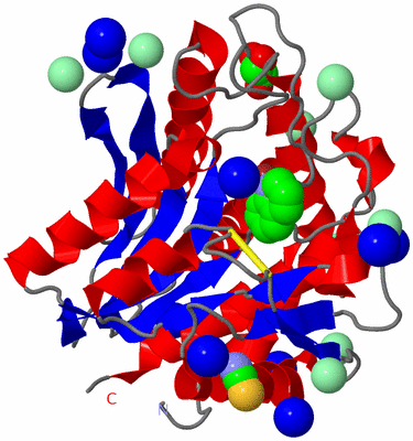 Image Asym./Biol. Unit