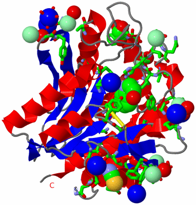 Image Asym./Biol. Unit - sites