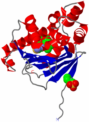 Image Asym./Biol. Unit