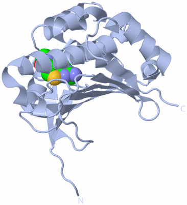 Image Biological Unit 1