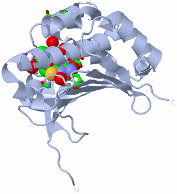 Image Biol. Unit 1 - sites