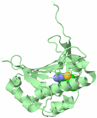 Image Biological Unit 2