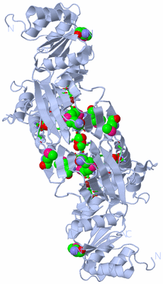 Image Biol. Unit 1 - sites