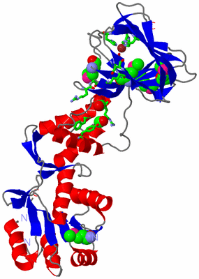 Image Asym. Unit - sites