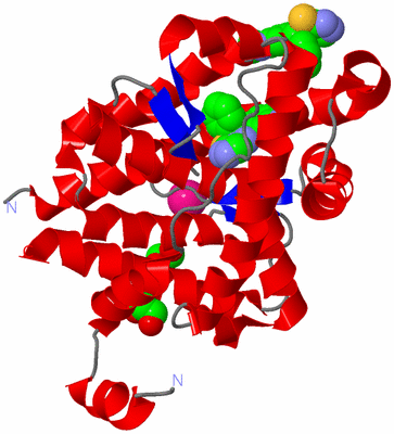 Image Asym./Biol. Unit