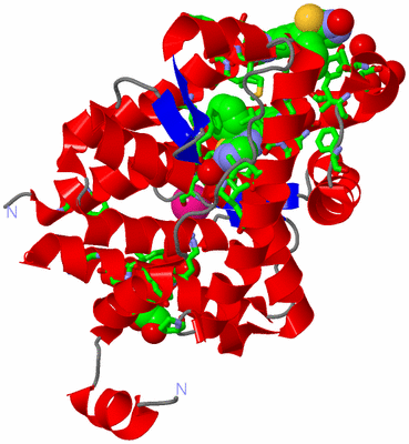 Image Asym./Biol. Unit - sites