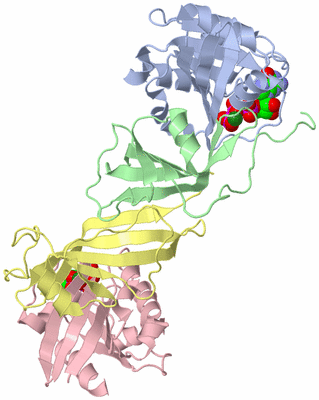 Image Biological Unit 1