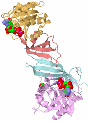 Image Biological Unit 2