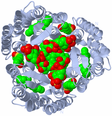 Image Biological Unit 1