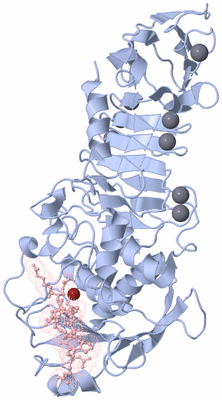 Image Biological Unit 1