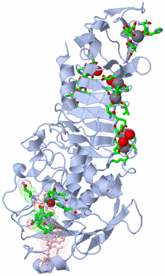 Image Biol. Unit 1 - sites