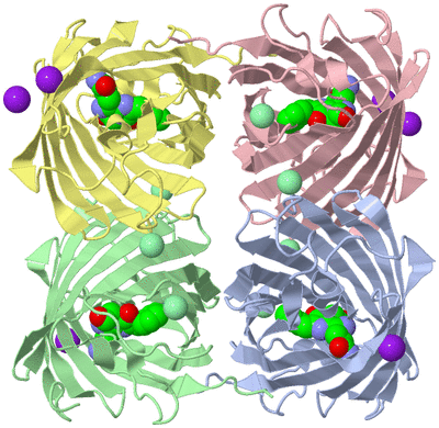 Image Biological Unit 1