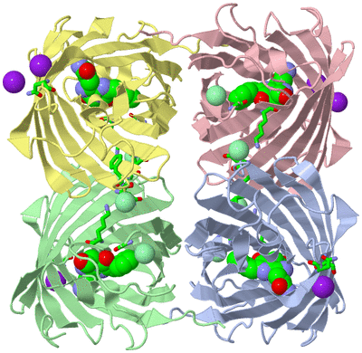 Image Biol. Unit 1 - sites