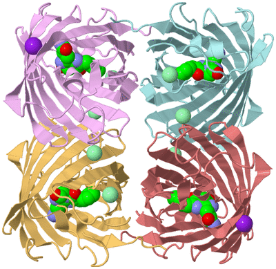 Image Biological Unit 2