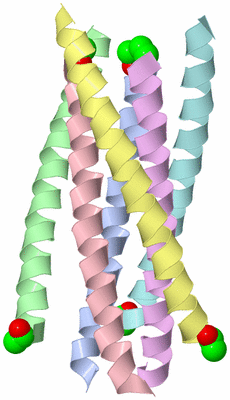 Image Asym./Biol. Unit