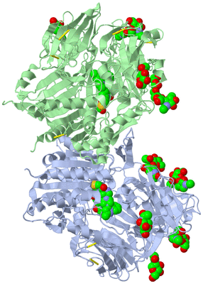 Image Asym./Biol. Unit