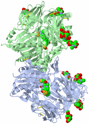 Image Asym./Biol. Unit