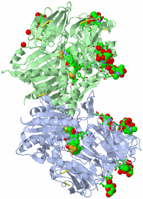 Image Asym./Biol. Unit - sites