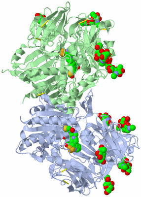 Image Asym./Biol. Unit