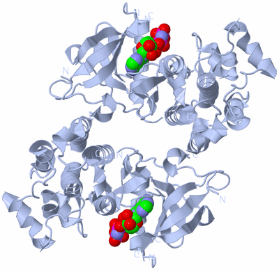 Image Biological Unit 1