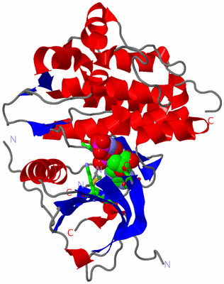 Image Asym. Unit - sites