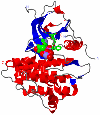 Image Asym. Unit - sites