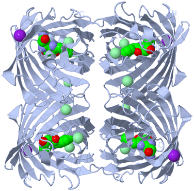 Image Biological Unit 1