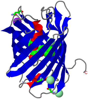 Image Asym. Unit - sites